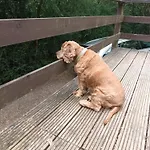 Au Repos De Zoe