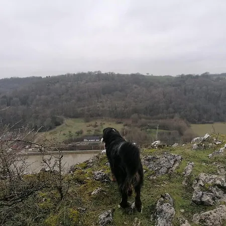 Au Repos De Zoe Waulsort