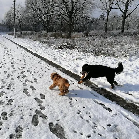 Feriehus Au Repos De Zoe *