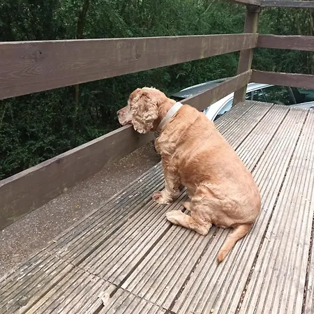 Au Repos De Zoe
